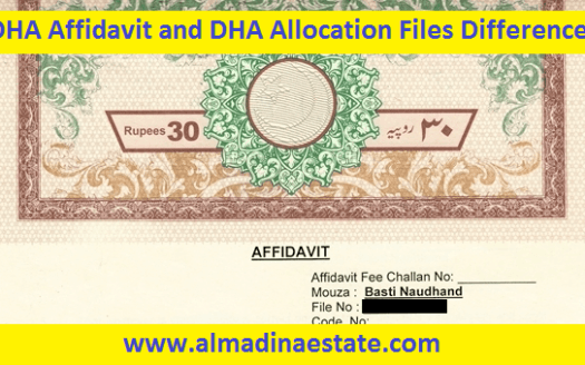 DHA Affidavit and DHA Allocation Files